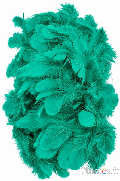 Gallina - 5-9 cm - giada